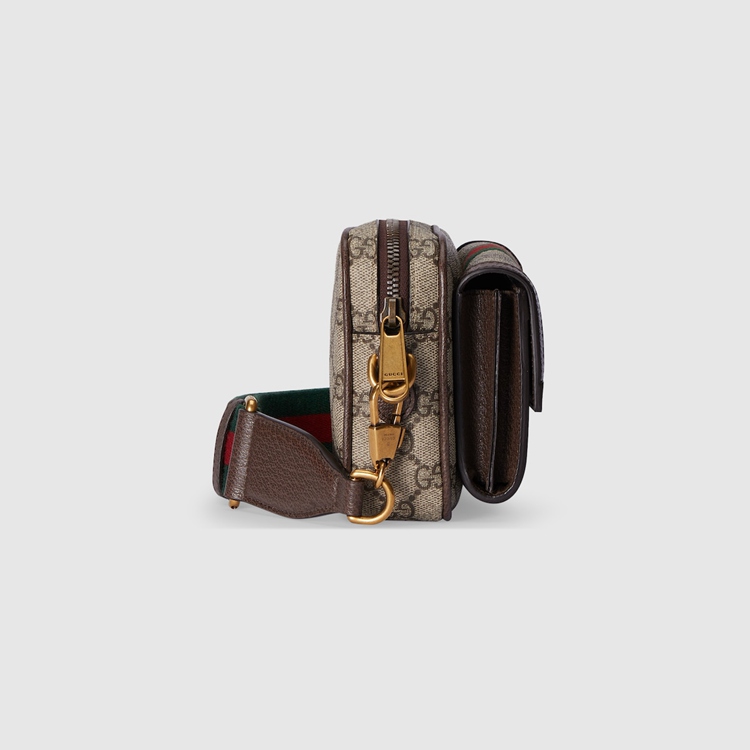 746308.96IWT.8745.010.069.0000.Light Ophidia GG mini bag